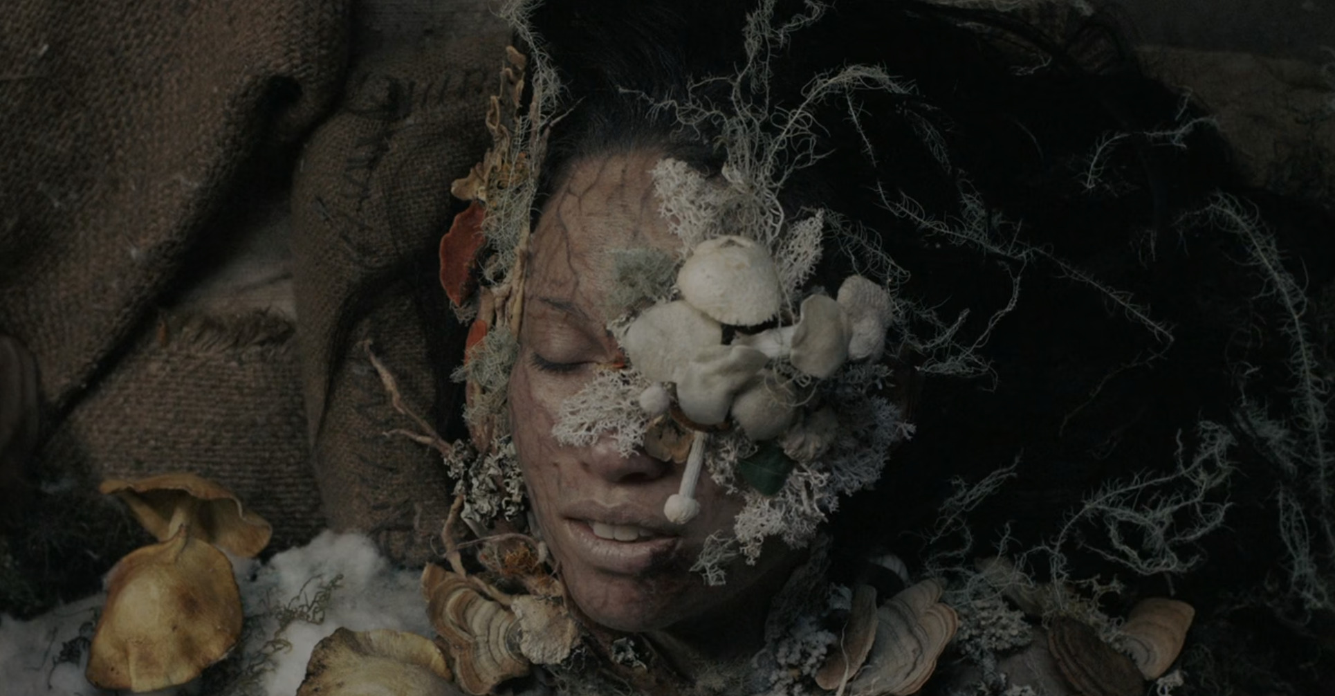 Gaia