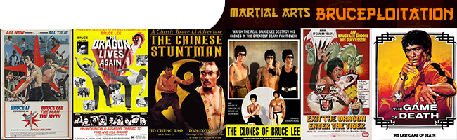visual_bloodsport_bruceploitation