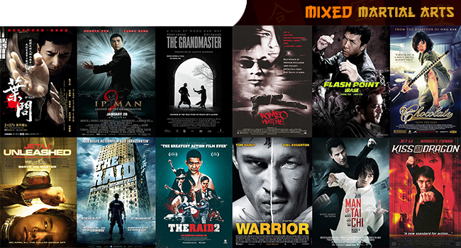 visual_bloodsport_mma
