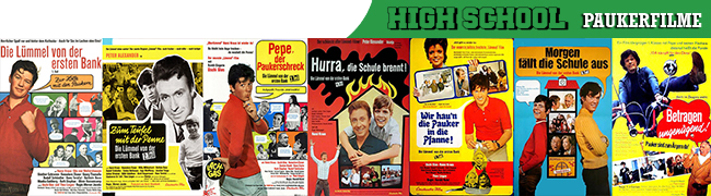 visual_school_pauker