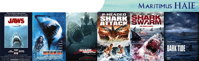 visual_maritim_sharks
