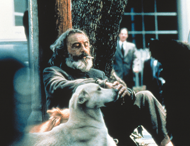 Amores Perros