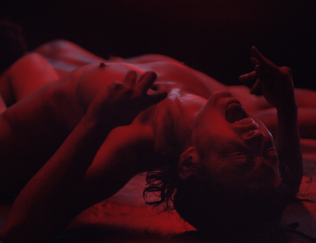 We Are The Flesh