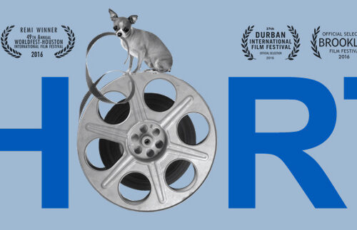 Die kleine Genrefibel Teil 69: AG Kurzfilm