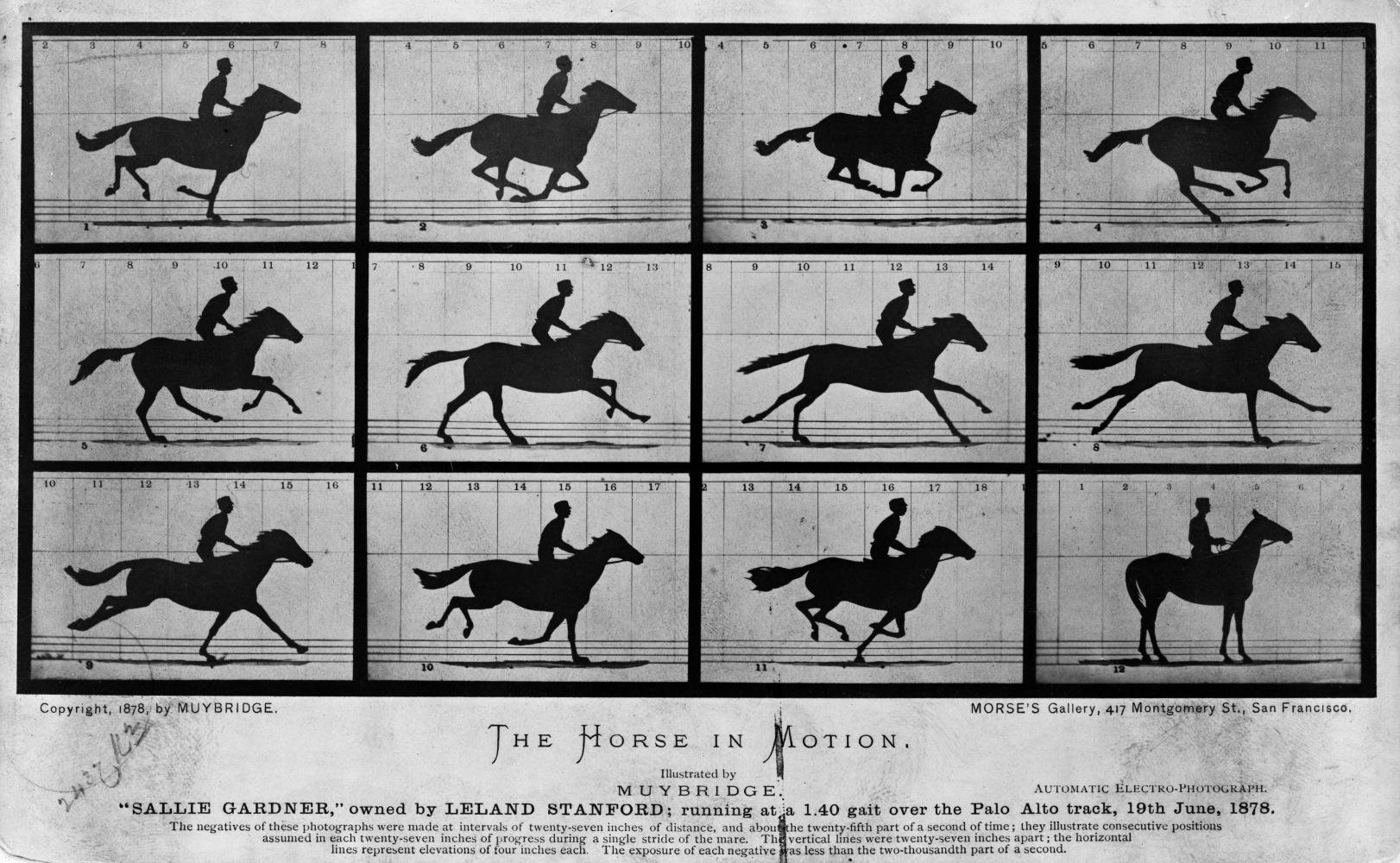 Eadweard Muybridge