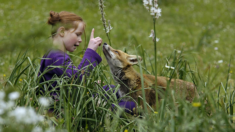 Der Fuchs und das Mädchen