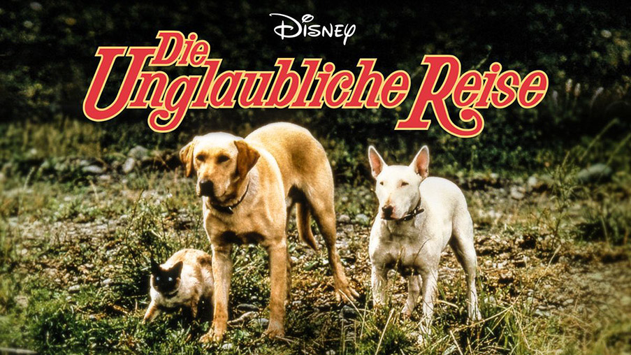 Die unglaubliche Reise