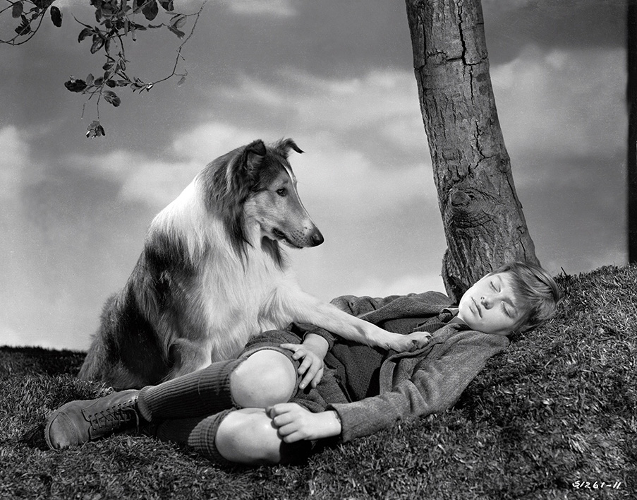 Lassie