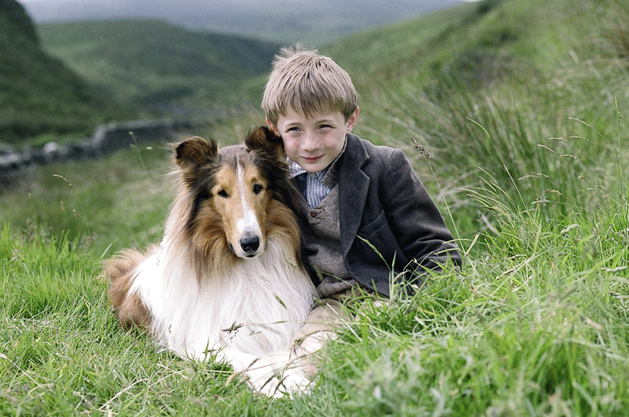 Lassie 2005