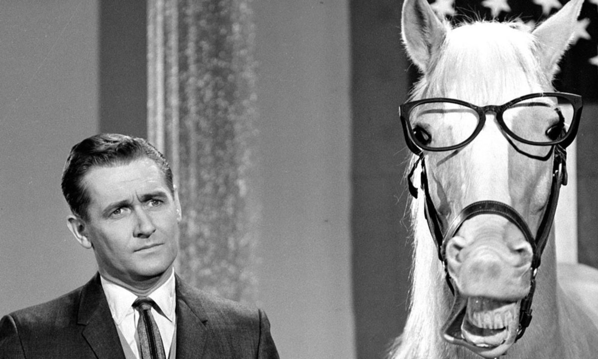Mr. Ed