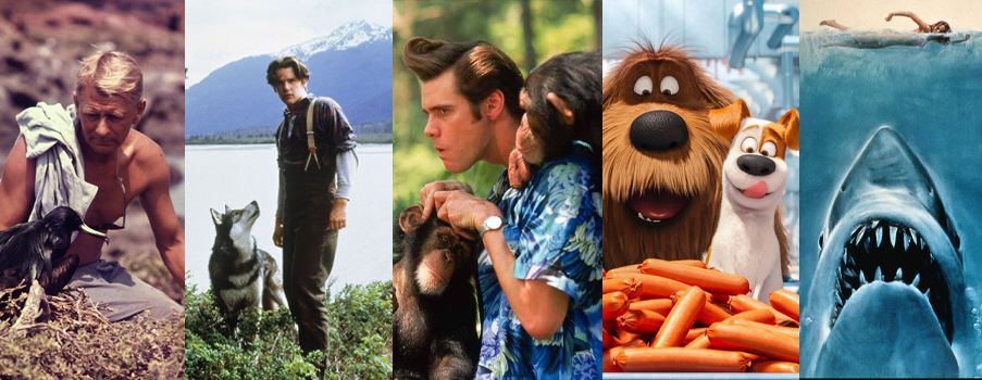 Tierfilm Subgenre