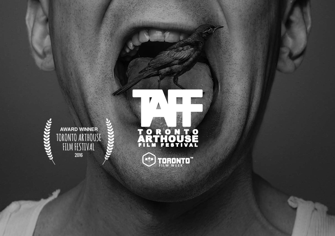 Kunstfilmfestival