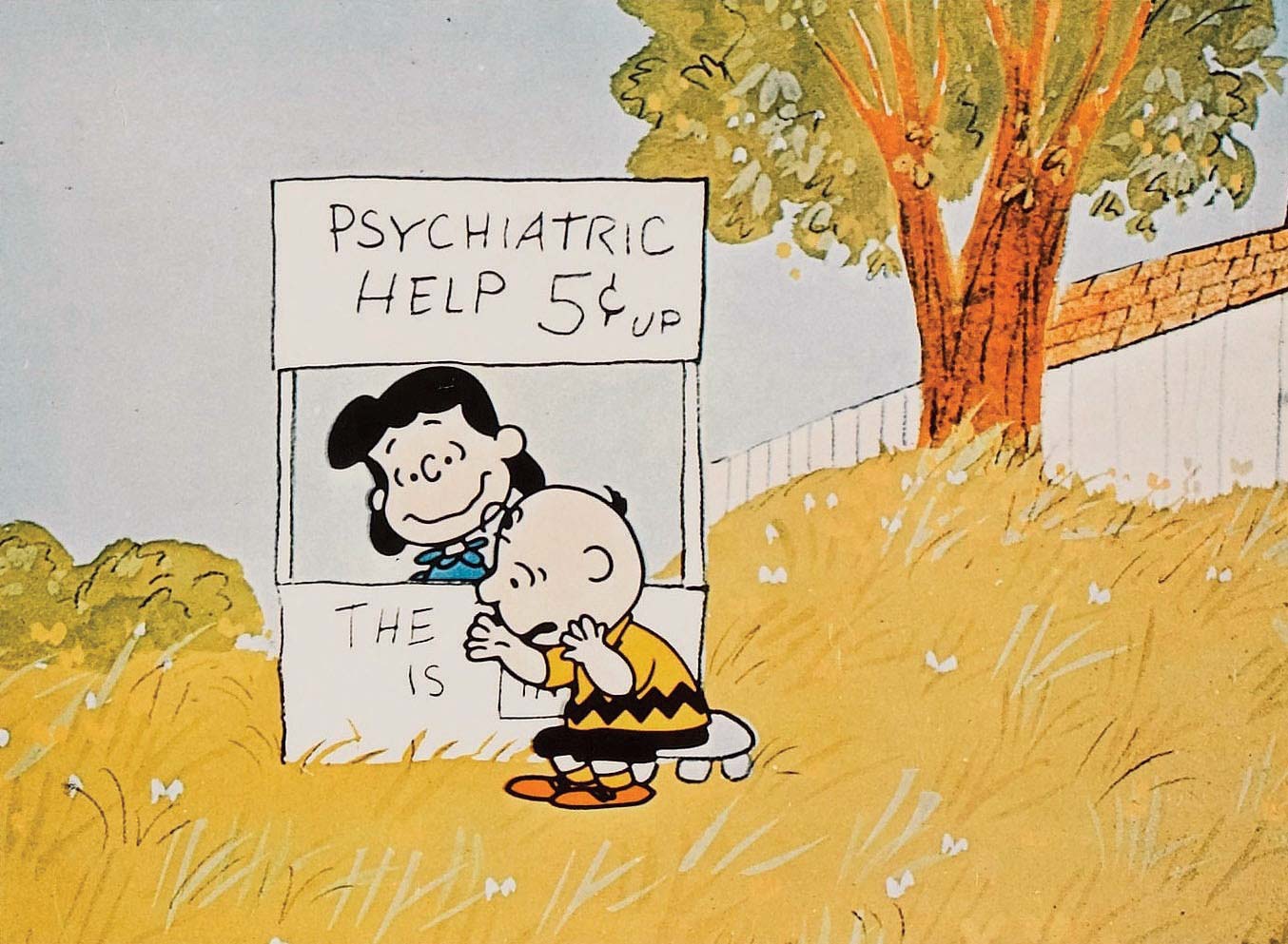 CHARLIE BROWN UND SEINE FREUNDE 1969